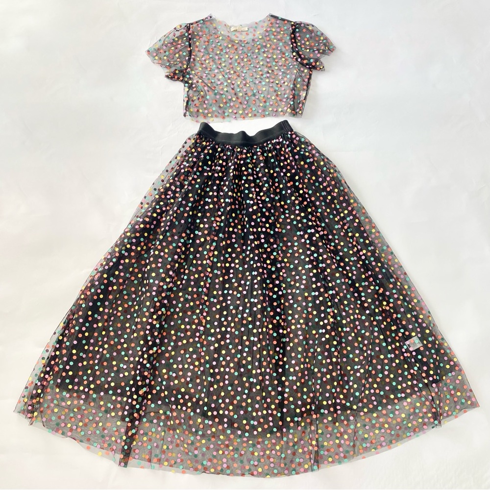 Sheer Black Mesh Rainbow Polka Dot Crop Top & Maxi Tulle Skirt Coord Set Large